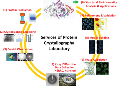 Protein Crystallography Laboratory